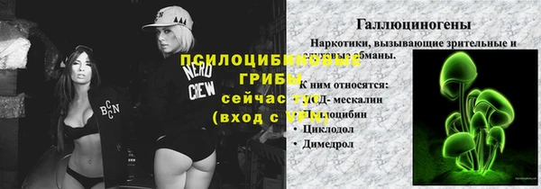 прущий лед Арсеньев