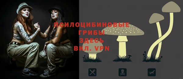 ECSTASY Баксан