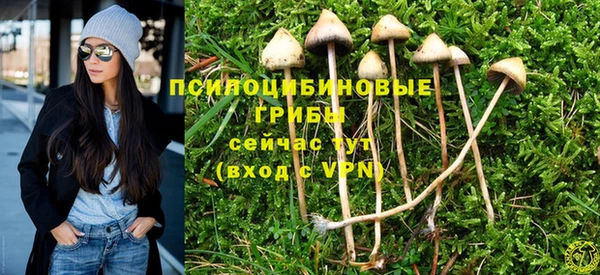 MDMA Армянск
