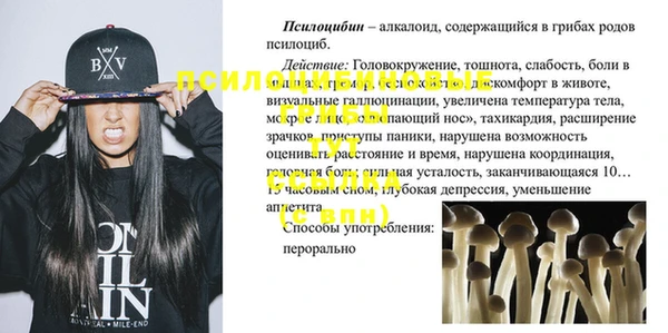 ECSTASY Баксан