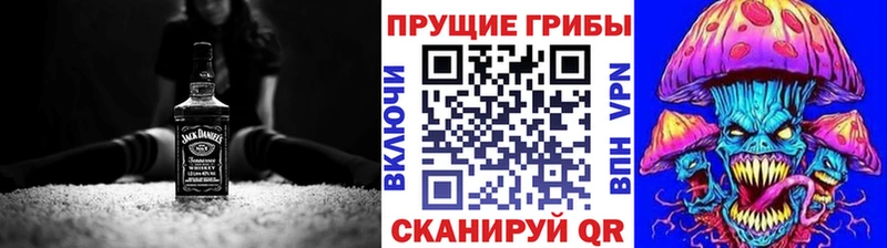 Псилоцибиновые грибы Psilocybe Нестеров